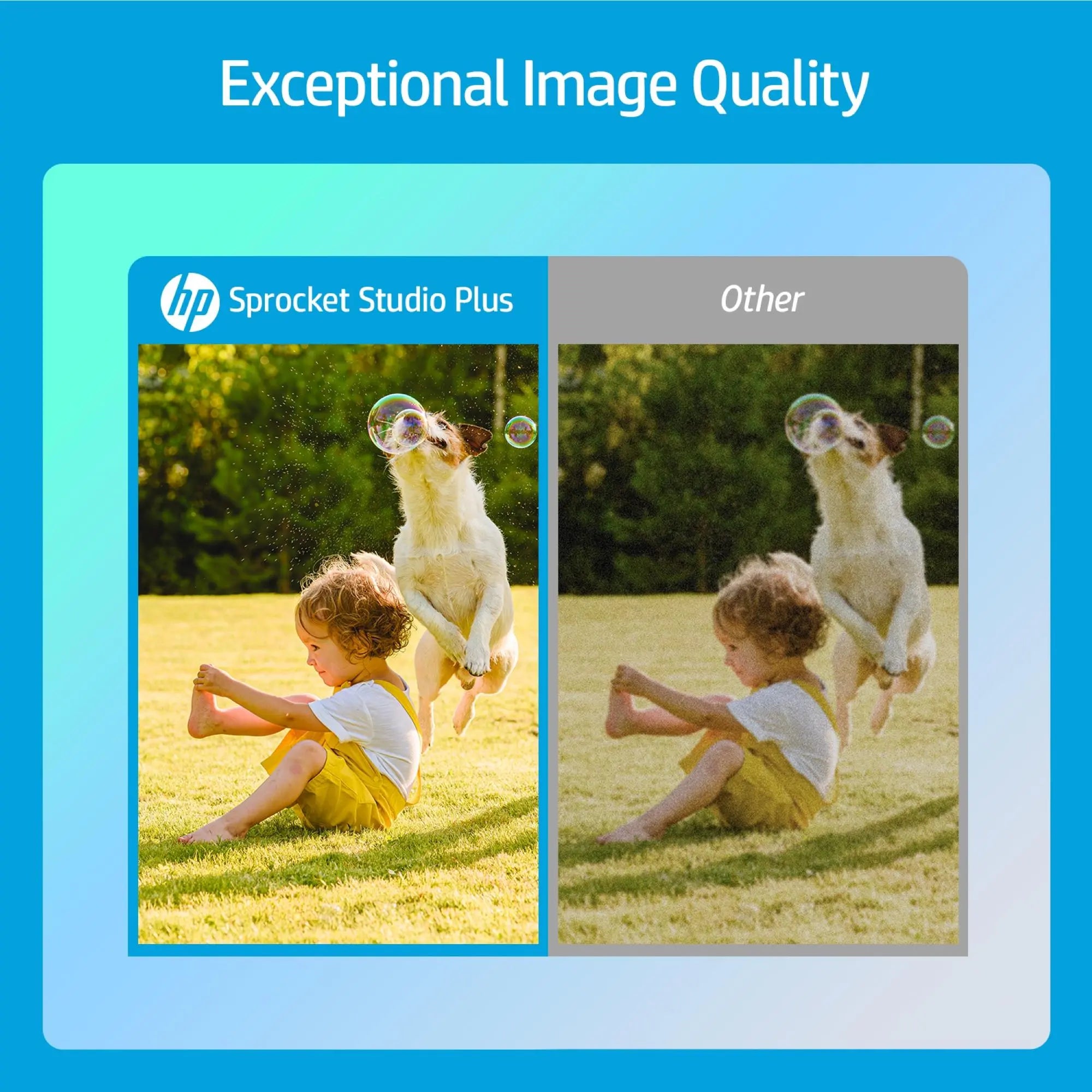 HP Sprocket Studio plus 4X6” Instant Photo Printer – Wirelessly Prints from Ios & Android Device