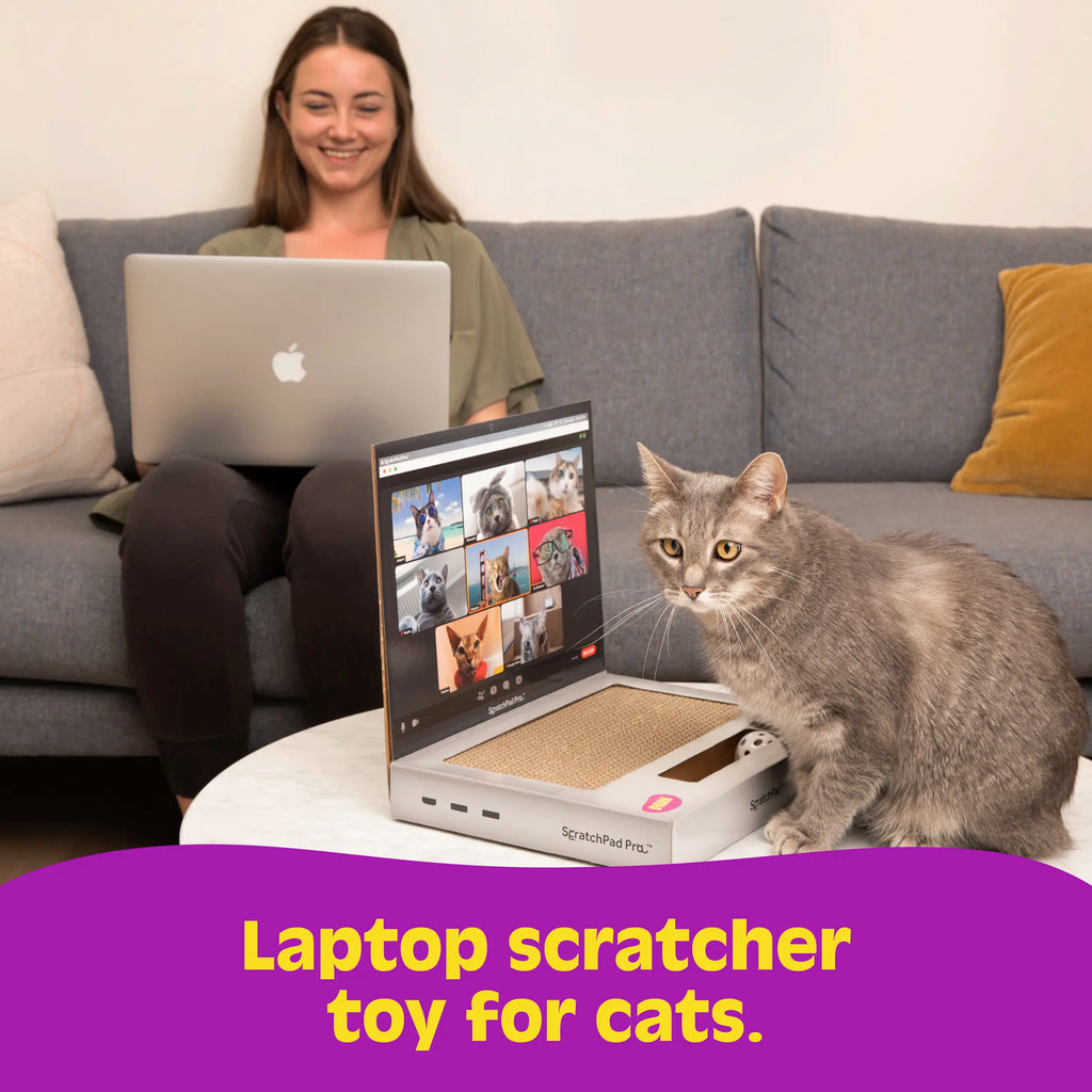 Scratchpad Pro Cardboard Laptop Cat Scratcher | Funny & Functional Cat Toy for Indoor Cats