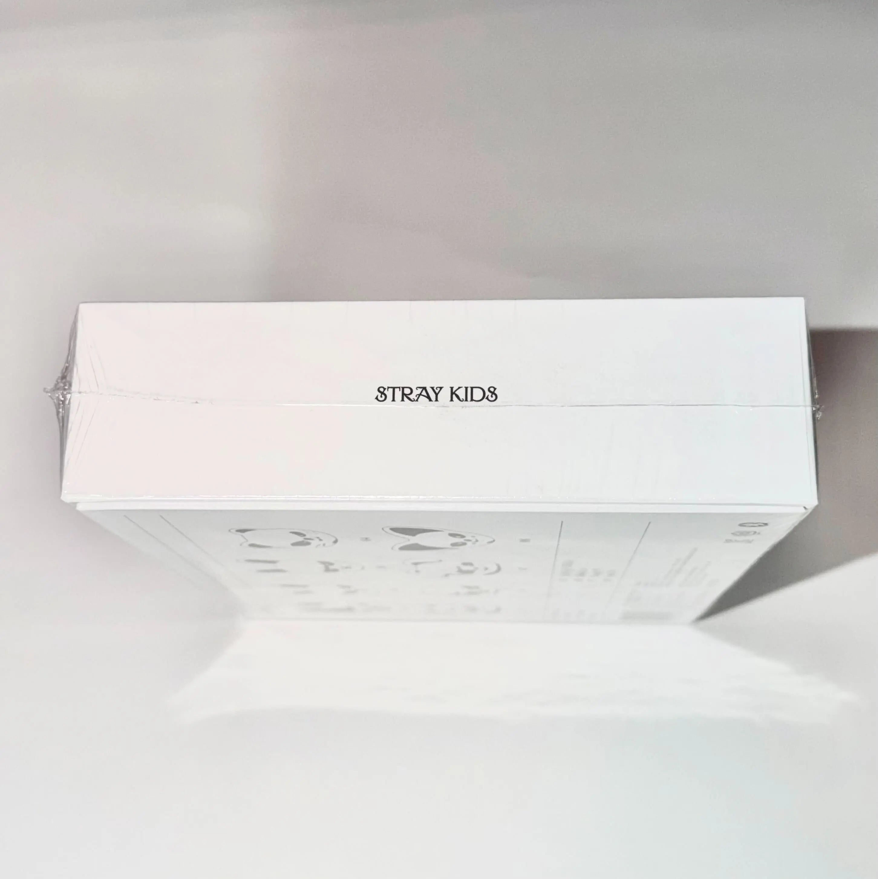 Stray Kids – Collectible Keychain Mini Speaker Package (Official)