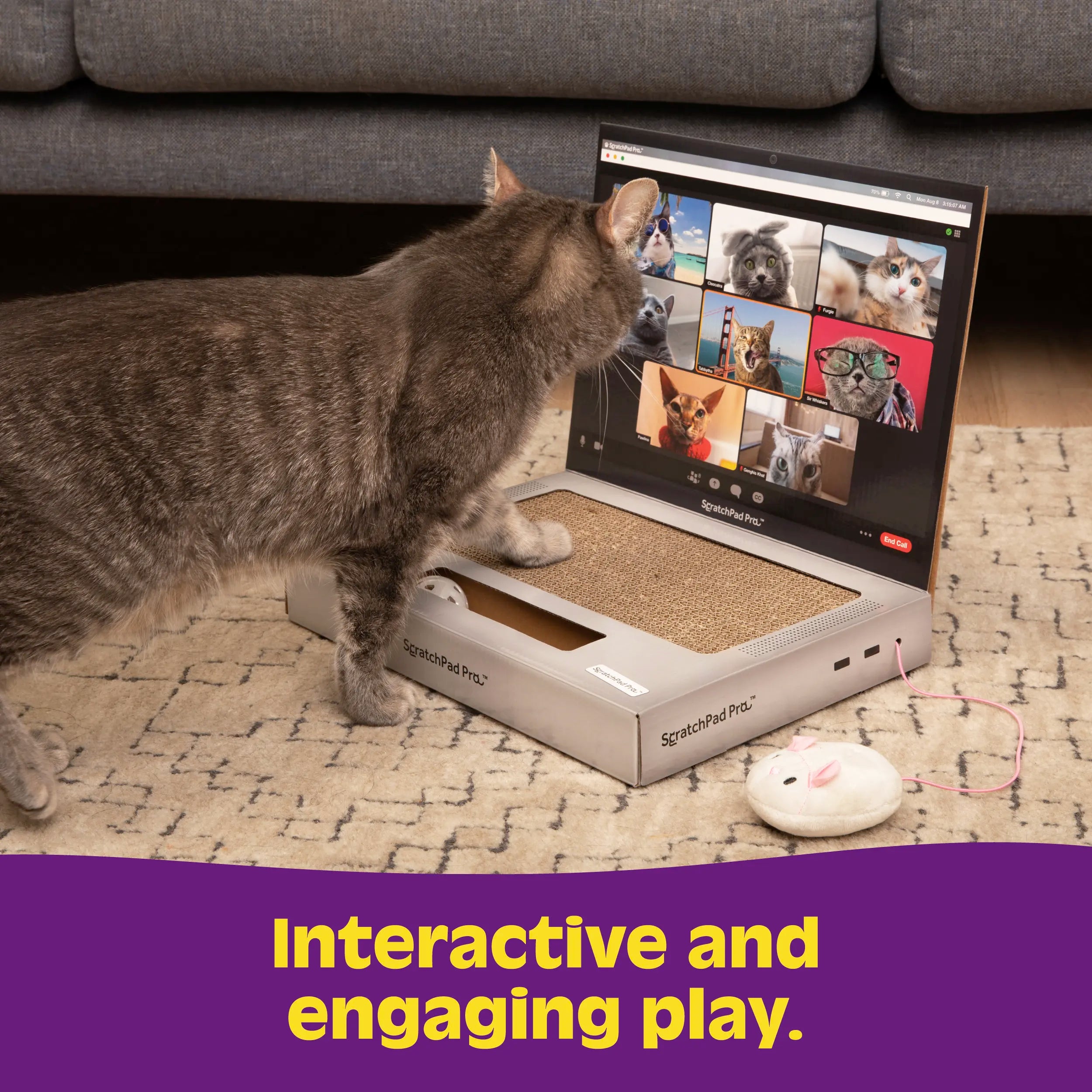 Scratchpad Pro Cardboard Laptop Cat Scratcher | Funny & Functional Cat Toy for Indoor Cats