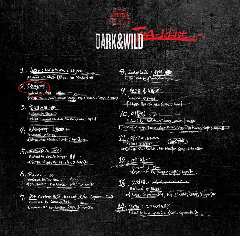 BTS – DARK & WILD (1St Studio Album) | Official K-Pop CD + 102-Page Photobook + Random Photocards | Danger / War of Hormone / Let Me Know | ARMY Collector Album